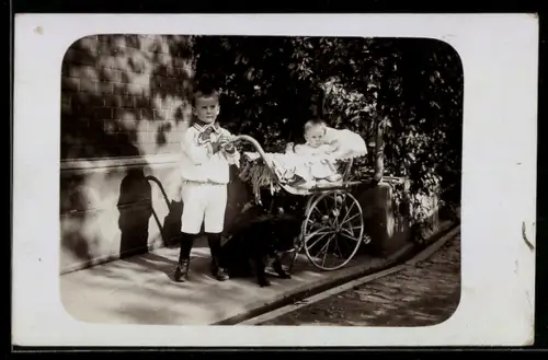 Foto-AK Knabe im Matrosenanzug mit Hund und Kleinkind im Kinderwagen
