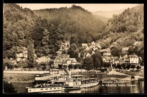 AK Schmilka, Raddampfer Einheit der Weissen Flotte auf der Elbe