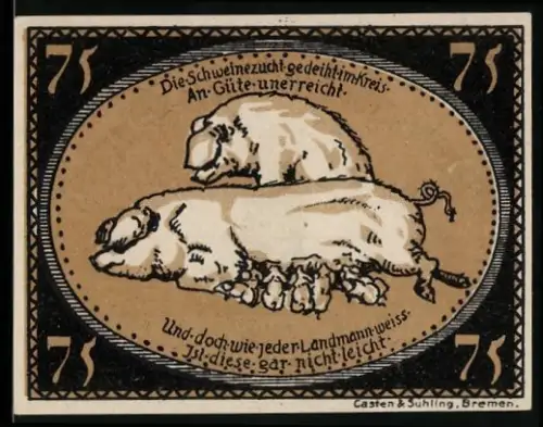 Notgeld Diepholz 1921, 75 Pfennig, Schweinezucht und Turm mit Strahlen