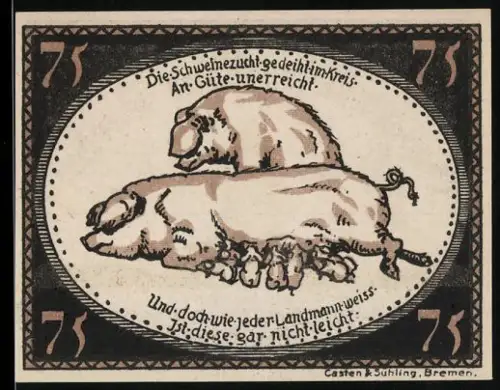 Notgeld Diepholz 1921, 75 Pfennig, Schweinezucht und Turm mit Ortsnamenstrahlen