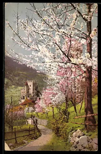 AK Merano, Castello in primavera con alberi in fiore