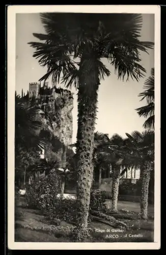 AK Arco /Lago di Garda, Il Castello con palme in primo piano