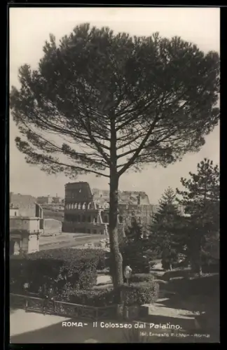 AK Roma, Il Colosseo dal Palatino