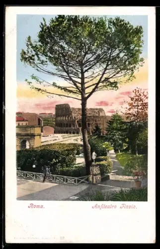 AK Roma, Anfiteatro Flavio con giardino e albero in primo piano