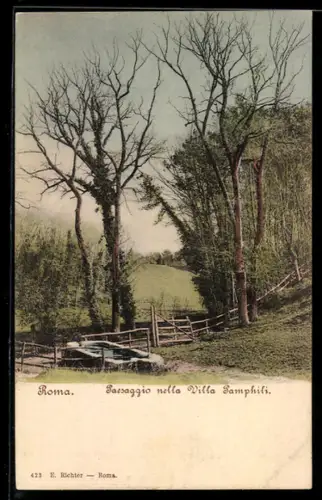 AK Roma, Paesaggio nella Villa Pamphili