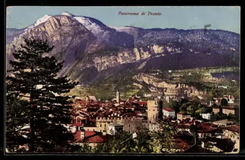 AK Trento, Panorama