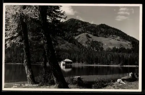 AK Dobbiaco /Lago di Dobbiaco, Panorama