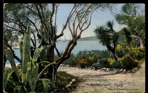 AK Lussinpiccolo, Cigale