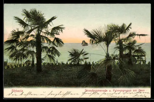 AK Abbazia, Strandpromenade und Palmengruppe am Meer