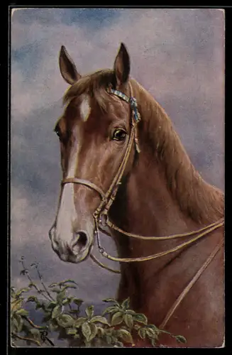 Künstler-AK Carl Reichert: Braunes Pferd mit weisser Stirn und Nase