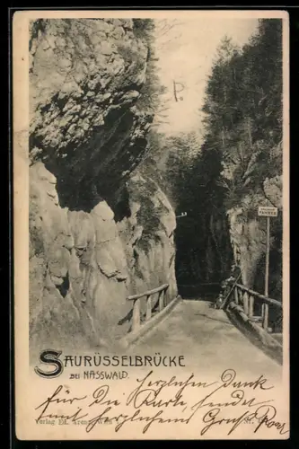 AK Nasswald, Saurüsselbrücke