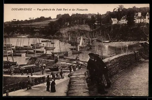AK Douarnenez, Vue générale du Petit Port et des Plomarchs