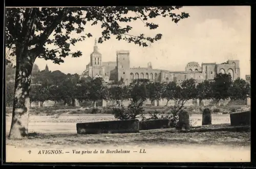 AK Avignon, Vue prise de la Barthelasse