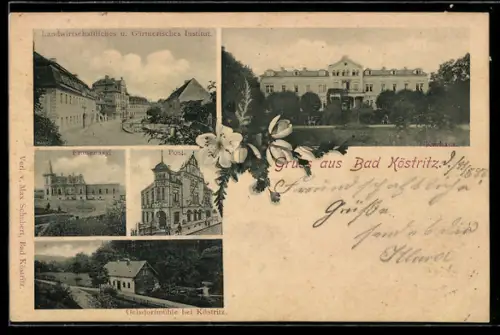AK Bad Köstritz, Landwirtschaftliches u. Gärtnerisches Institut, Frauenasyl, Post, Oelsdorfmühle