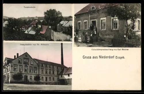 AK Niederdorf /Erzgeb., Totalansicht, Colonialwarengeschäft von Carl Richter, Dampfmühle von Th. Heimann