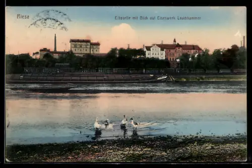 AK Riesa, Elbpartie mit Blick auf Eisenwerk Lauchhammer