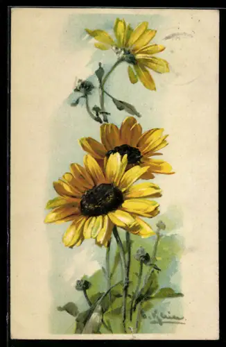 Künstler-AK Catharina Klein: gelbe Wiesenblume