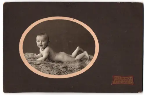 Fotografie P.H. Uhlmann, Gera, Ziegelberg 2, Porträt eines Babys auf Fell