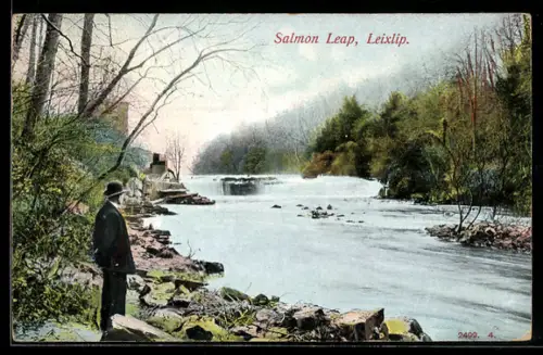 AK Leixlip, Salmon Leap