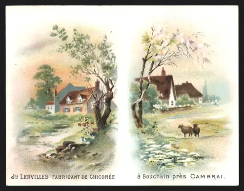 Kalender 1891, Bouchain près Cambrai, Jh. Lervilles, Fabricant de Chicorée
