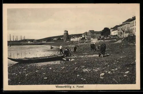 AK Wasserbillig a. Mosel, Uferpartie mit Rindern