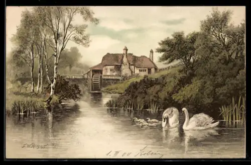 Künstler-AK Meissner & Buch (M&B) Nr.1189: Mühle mit Schwänen auf einem Bach