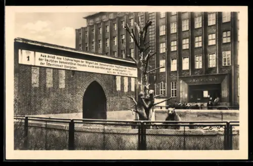 AK Berlin, Berliner Bären Nante und Jette am Märkischen Museum, Märkischer Platz