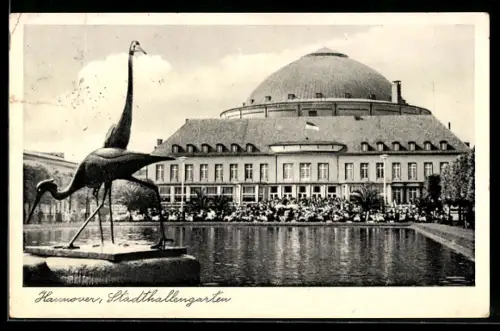 AK Hannover, Stadthallengarten, Kuppelgebäude, Störche