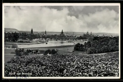 AK Dresden, Blick auf die Altstadt und Elbe