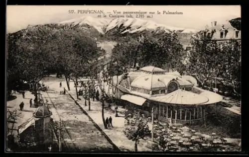 AK Perpignan, Vue panoramique sur le Palmarum et le Canigou