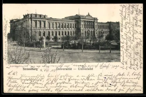 AK Strassburg, Université