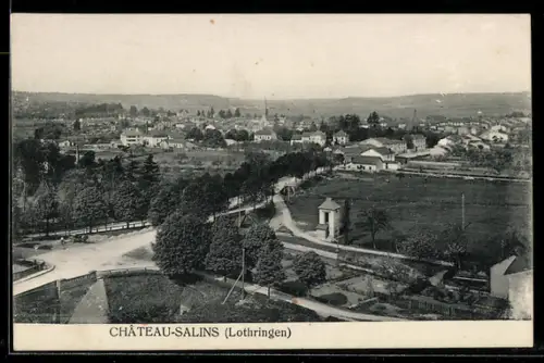 AK Château-Salins /Lothringen, Panorama des Ortes