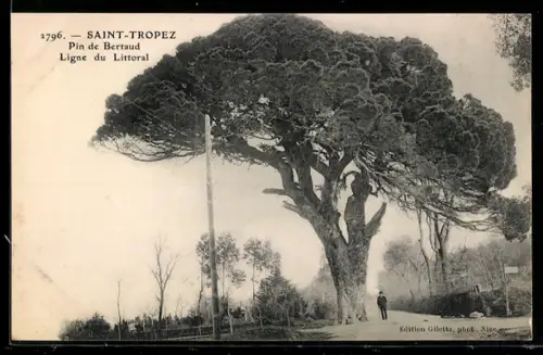 AK Saint-Tropez, Pin de Bertaud Ligne du Littoral