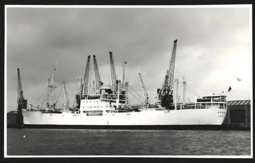 Fotografie Schwedisches Frachtschiff Vegaland von 1952 im Hafen von Southampton, 21.5.1966