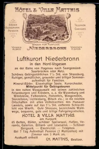 AK Niederbronn, Hôtel und Villa Matthis, Vogelschau auf die Anlage