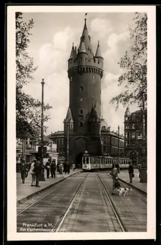 AK Frankfurt, Am Eschenheimerturm, Strassenbahn, Hund