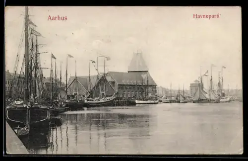 AK Aarhus, Havneparti