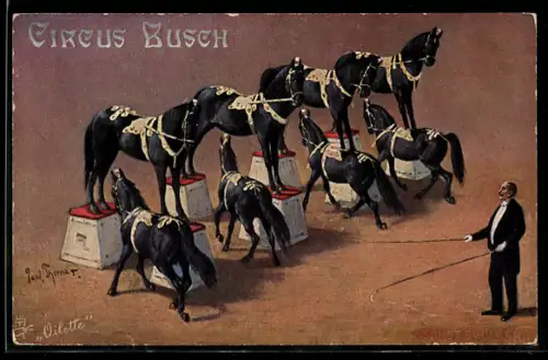 Künstler-AK Circus Busch, Szene aus einer Pferde-Dressur-Nummer