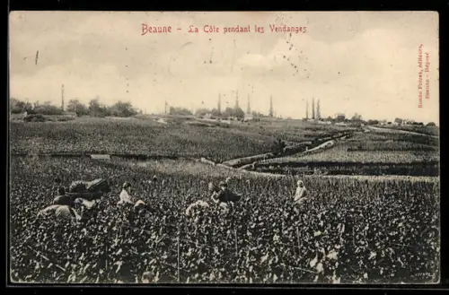 AK Beaune, La Côte pendant les Vendanges