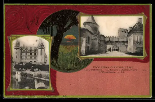 AK Angoulême, La Couronne, L`Ecole d`Agriculture, L`Oisellerie