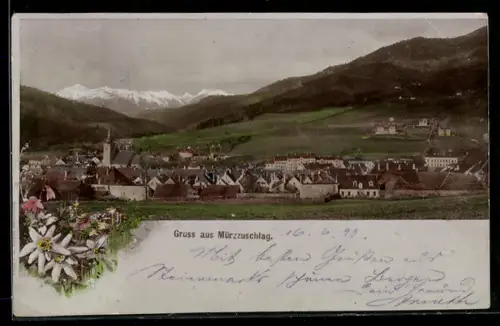 AK Mürzzuschlag, Panoramaansicht