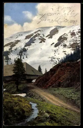 Künstler-AK Photochromie Nr. 2972: Schwarzwald, Feldberg