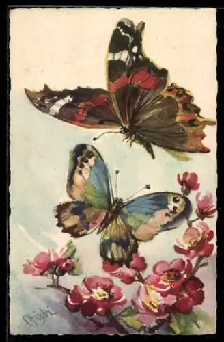 Künstler-AK Carlo Chiostri: bunte Schmetterlinge auf roten Blüten