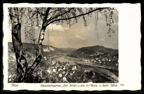 Foto-AK Walter Hahn, Dresden, Nr. 8562: Wehlen, Basteiwände und Blick auf Pötscha