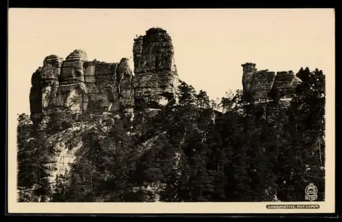 Foto-AK Walter Hahn, Dresden, Nr. 2353: Lokomotive mit Lamm