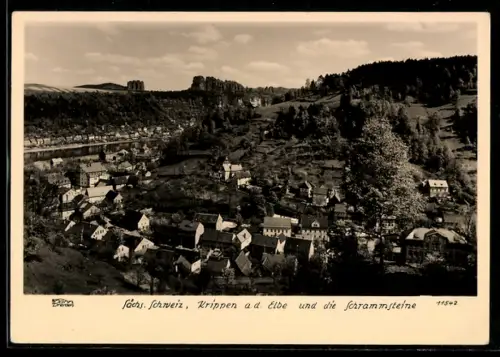 Foto-AK Walter Hahn, Dresden, Nr. 11542: Krippen an der Elbe und die Schrammsteine in der Sächs. Schweiz