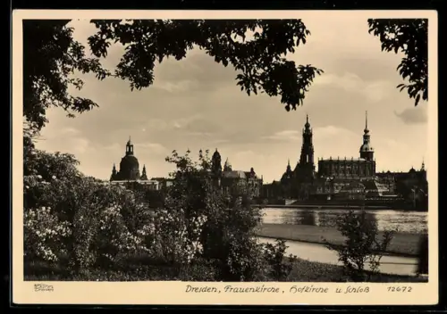 Foto-AK Walter Hahn, Dresden, Nr. 12672: Dresden, Frauenkirche und Schloss mit Hofkirche