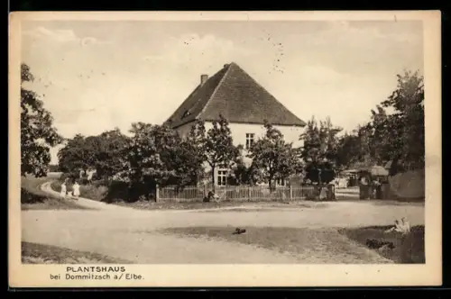 AK Dommitzsch, Partie am Plantshaus