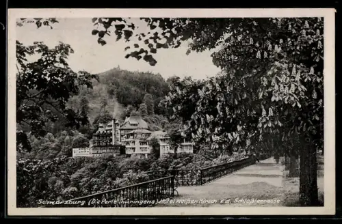 AK Schwarzburg, Blick zum Hotel Weisser Hirsch von der Schlossterrasse