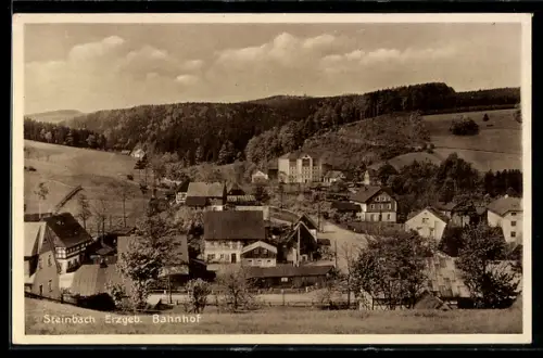 AK Steinbach /Erzgeb., Ortsansicht mit Bahnhof